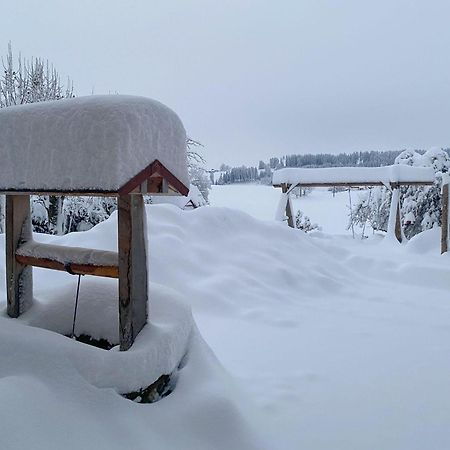 Trollenhof Im Allgaeu - Ferienwohnungen Saeuling Ruckholz Kültér fotó