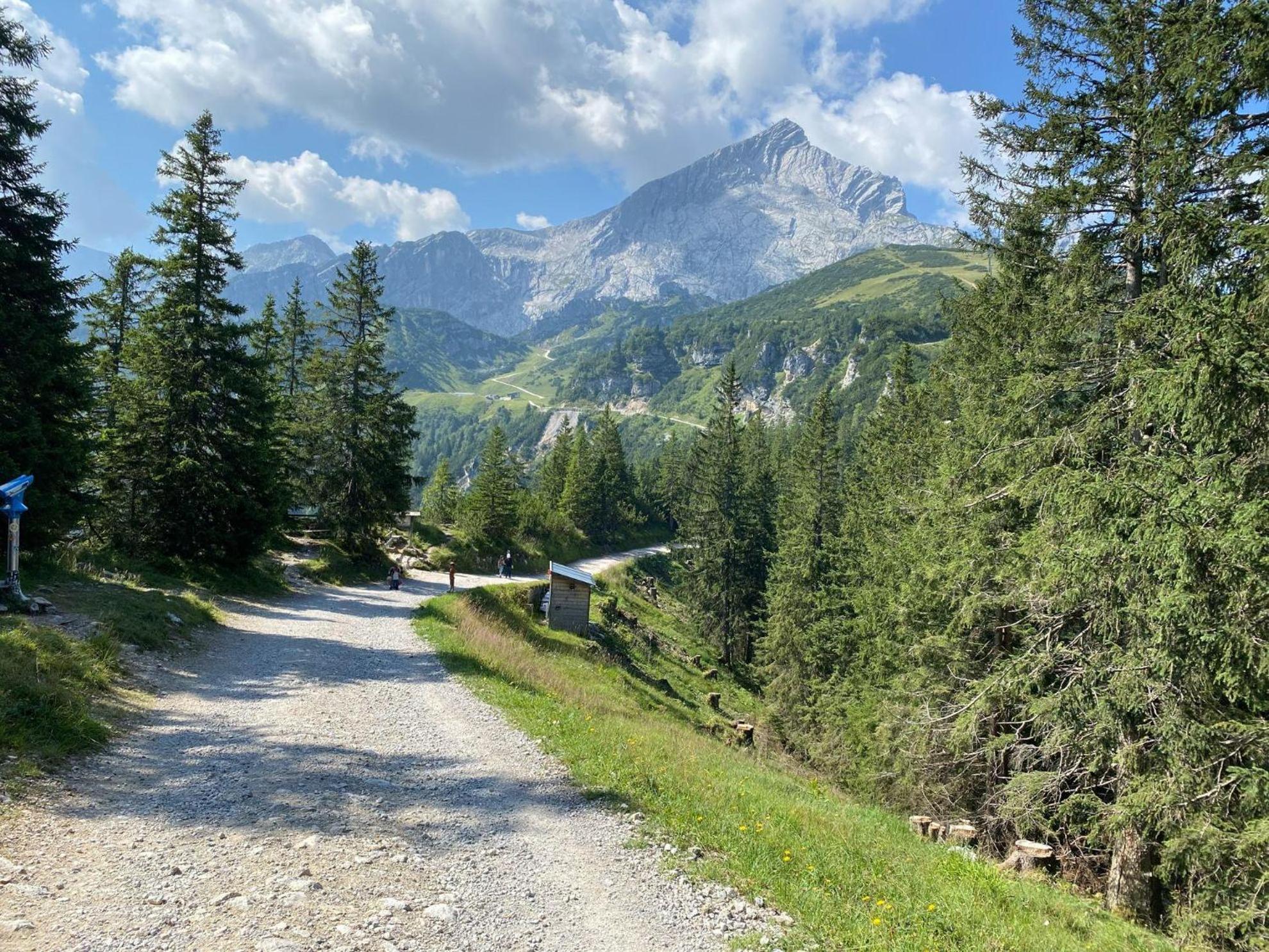 Trollenhof Im Allgaeu - Ferienwohnungen Saeuling Ruckholz Kültér fotó