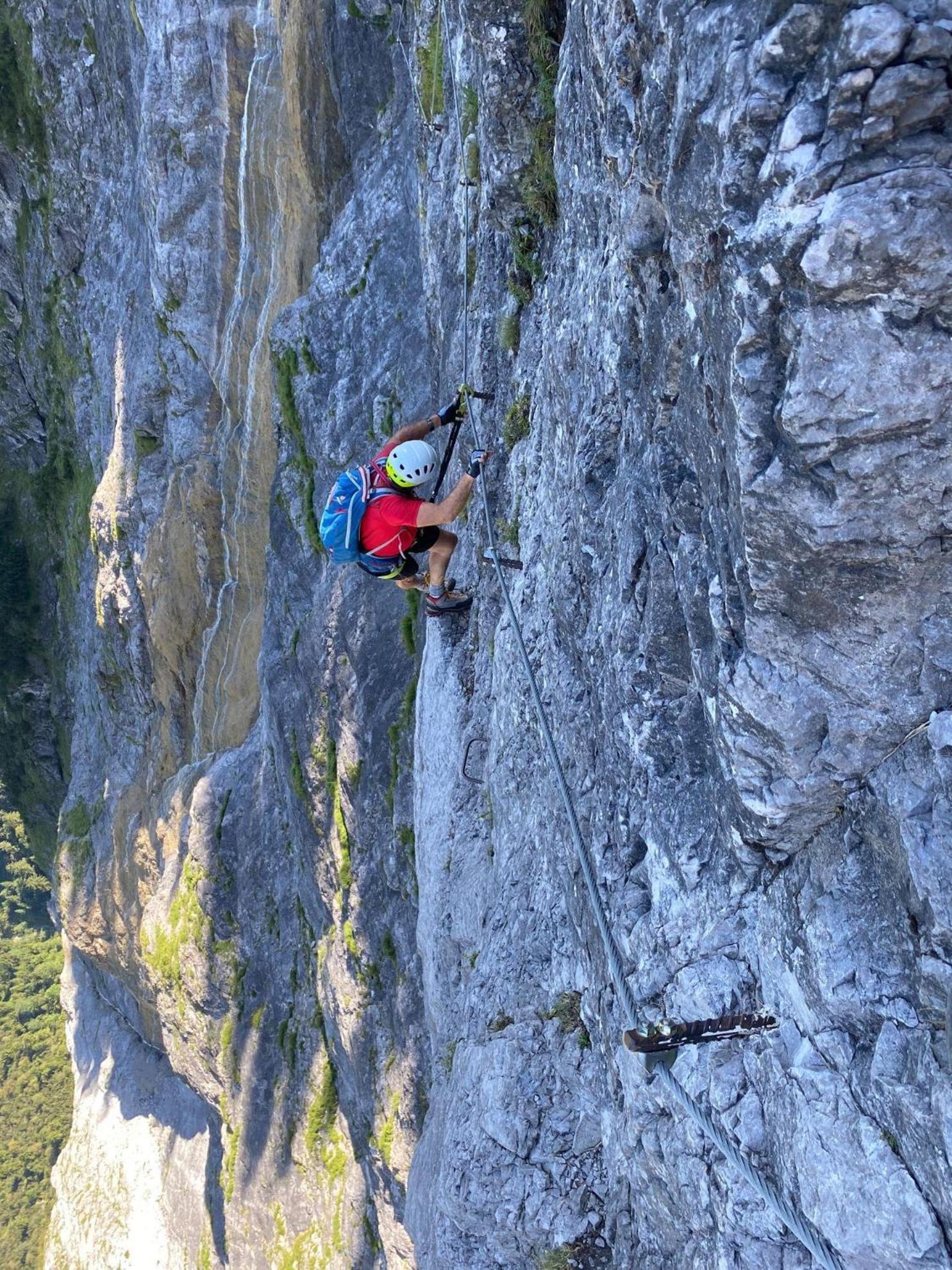 Trollenhof Im Allgaeu - Ferienwohnungen Saeuling Ruckholz Kültér fotó