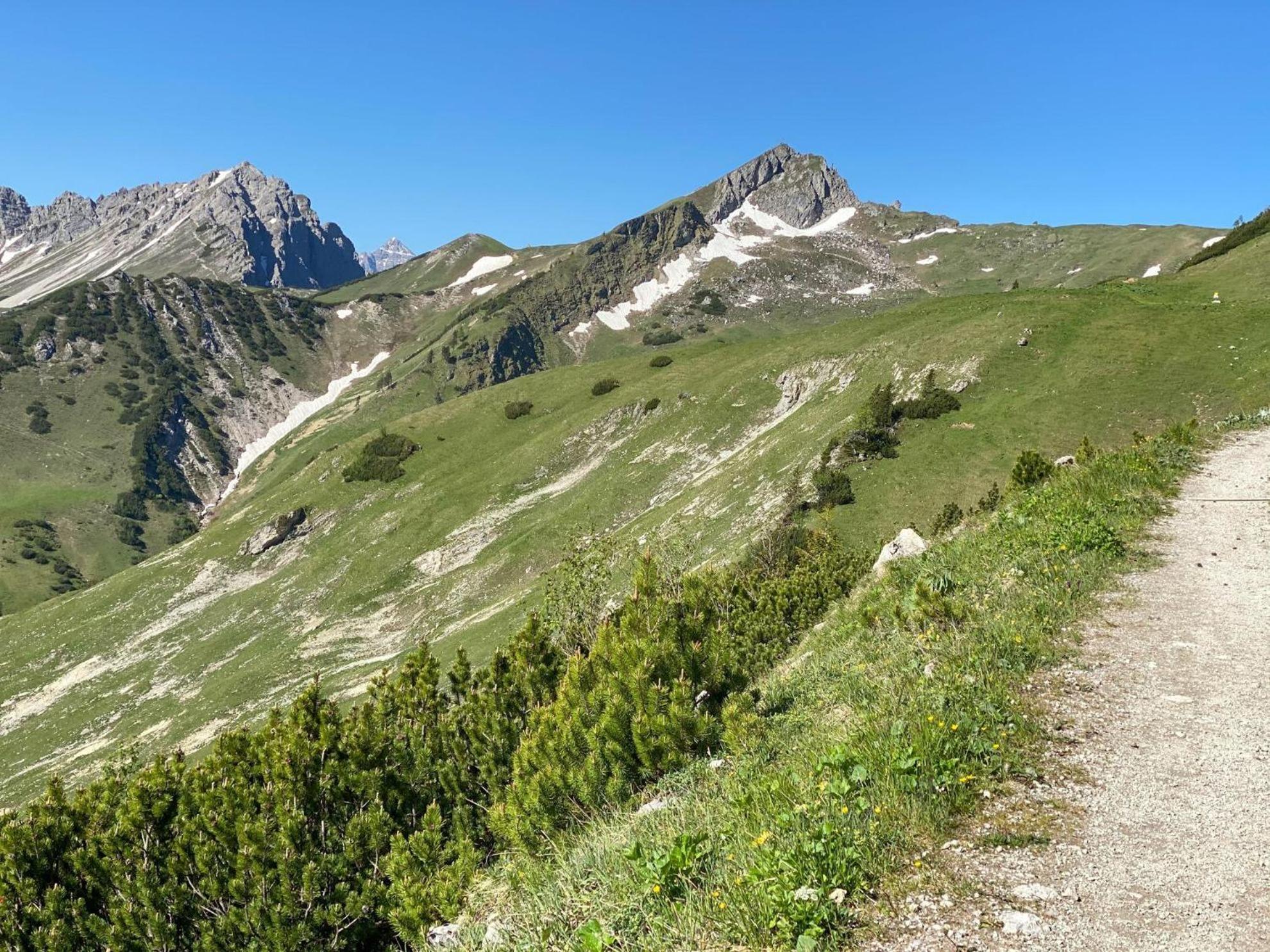 Trollenhof Im Allgaeu - Ferienwohnungen Saeuling Ruckholz Kültér fotó